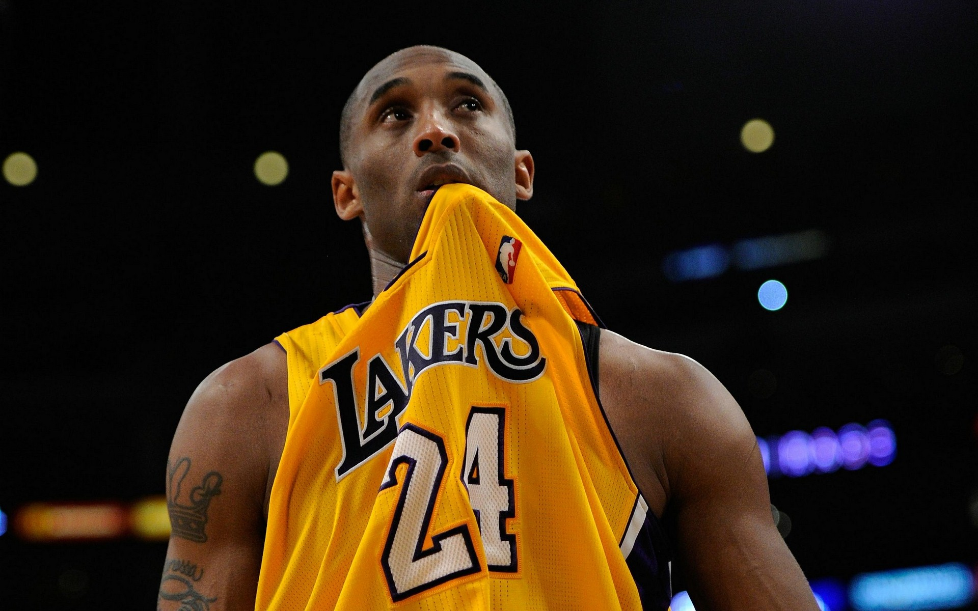 盲目坚持参 盲目坚持参