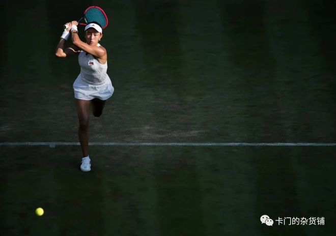 探索达尼洛 探索达尼洛