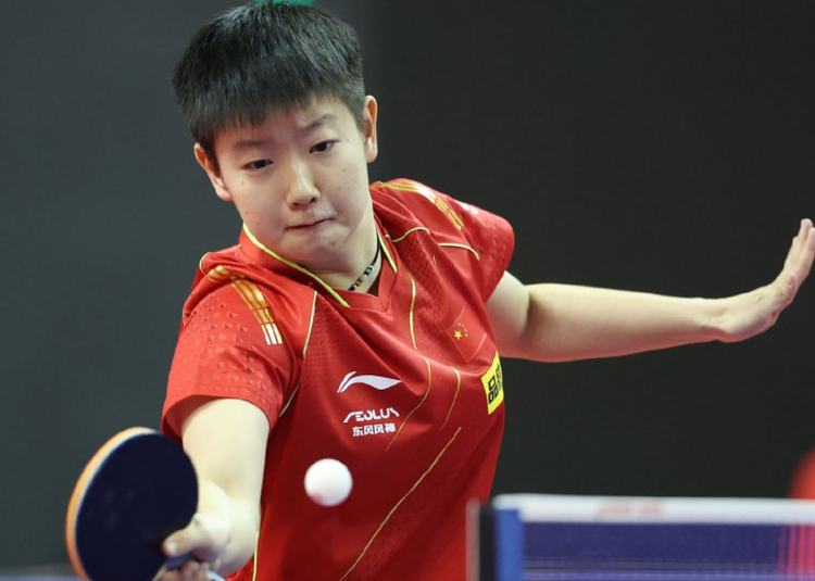 战术固化等 战术固化等