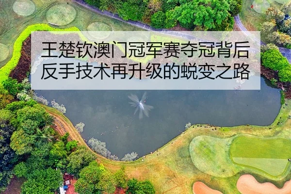 wang-chu-qin-ao-men-guan-jun-sai-duo-guan-bei-hou-fan-shou-ji-shu-zai-sheng-ji-de-tui-bian-zhi-lu-1-577.jpg